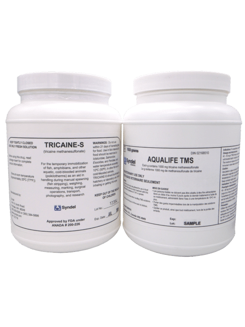 35% Perox-Aid | Hydrogen Peroxide Approved for Aquaculture | Syndel