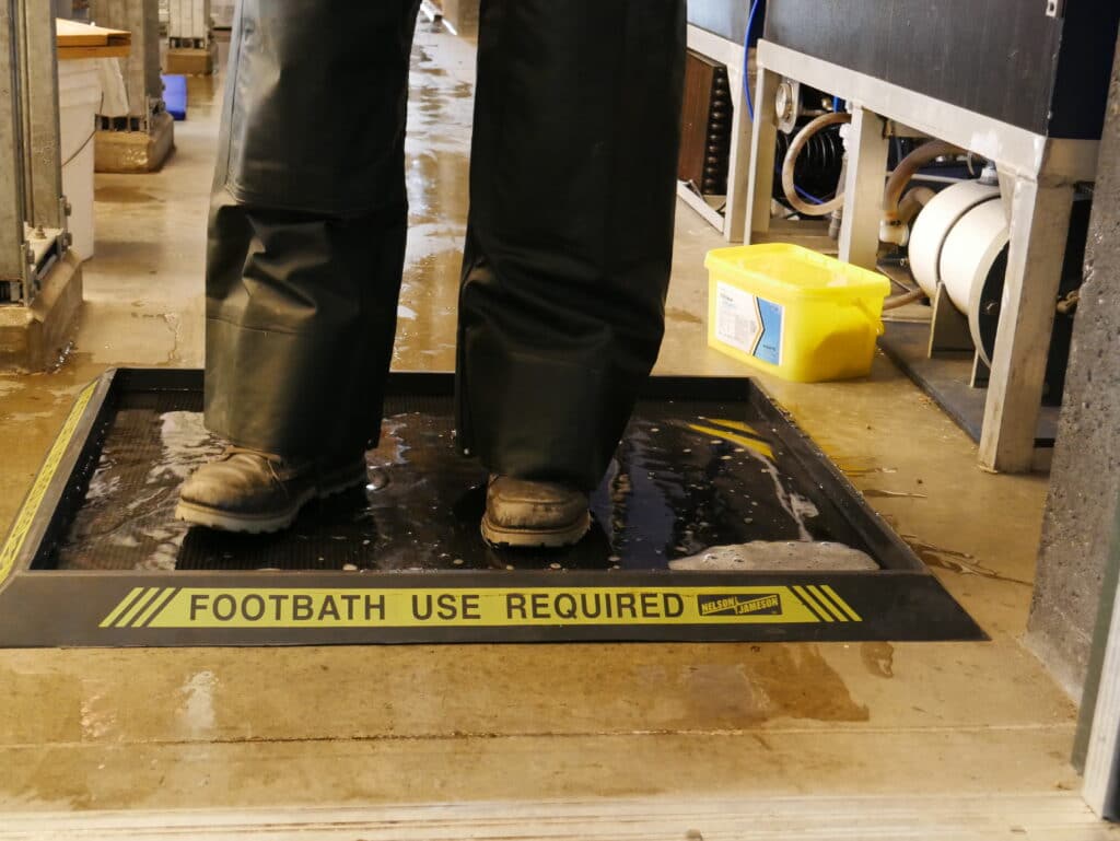 Rubber Biosecurity Footbath Boot Disinfection Sanitizing Footmat Syndel