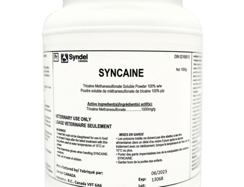 Syndel’s Syncaine® approved in the UK