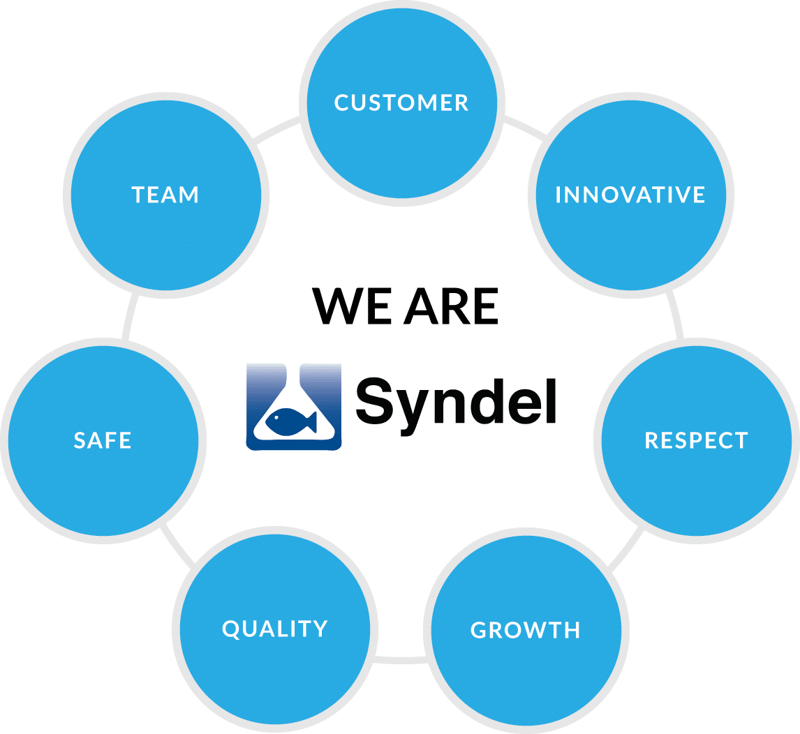 Syndel Values