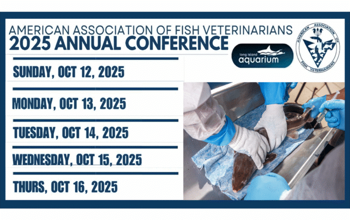 AAFV 2025
