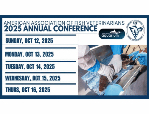 2025 AAFV Conference
