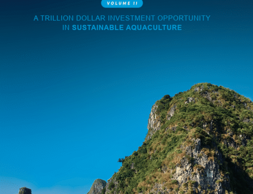 The World Bank Report: Harnessing the Waters