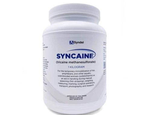 Syncaine Now Available in Chile