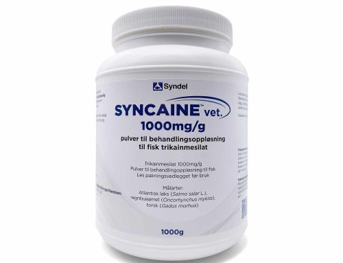 Syncaine vet.® Now Available in Norway